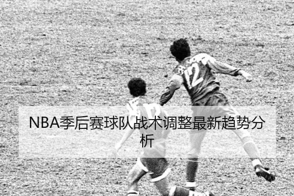 img_1781101371239_1_3_664.jpg