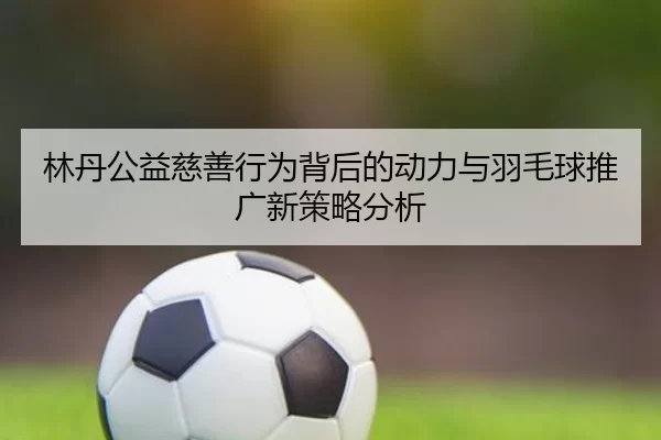 林丹公益慈善行为背后的动力与羽毛球推广新策略分析