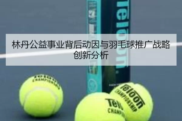林丹公益事业背后动因与羽毛球推广战略创新分析